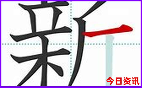 带父母去哪里旅游好